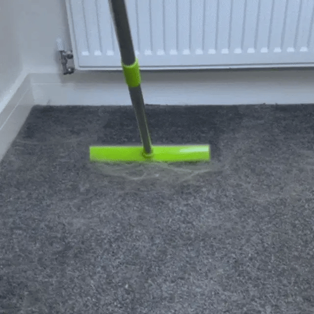 PET HAIR/FUR REMOVAL BROOM